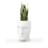 VONDOM ADAN PLANTERS