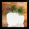 VONDOM BLOW ILLUMINATED PLANTERS